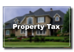 Pay Property Taxes